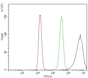 C3 Antibody / Complement C3 - image 1