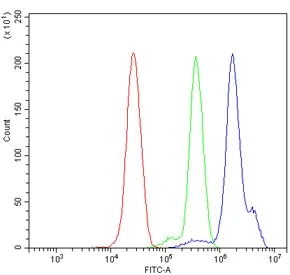 NLRP3 Antibody / NALP3 - image 1