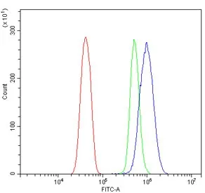 Trem2 Antibody - image 1