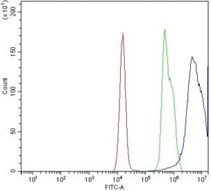 CXCR4 Antibody - image 1
