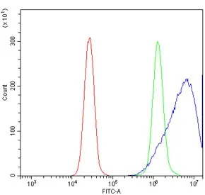 Neurogranin Antibody - image 1