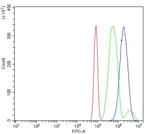 HIP2 Antibody / Huntingtin interacting protein 2 / UBE2K - image 1