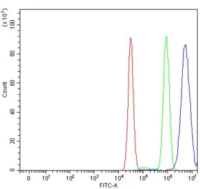 BEX3 Antibody / NGFRAP1 / NADE - image 1