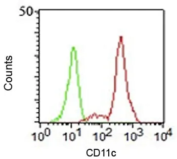 CD11c Antibody / ITGAX - image 1