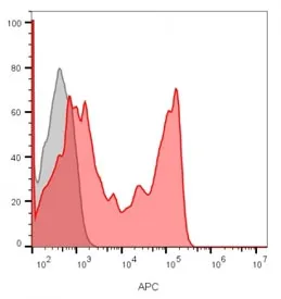 CD8A Antibody - image 1