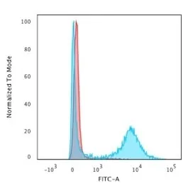 CD8A Antibody - image 1