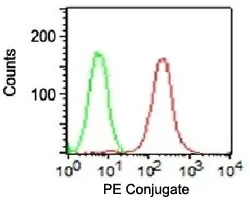 EpCAM Antibody - image 1