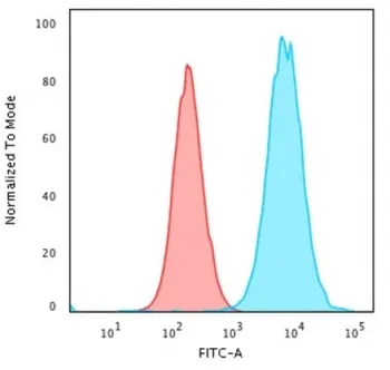 Beta-2 Microglobulin Recombinant Antibody - image 1