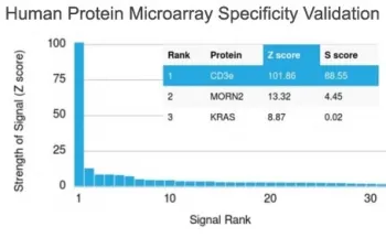CD3 epsilon Antibody - image 1