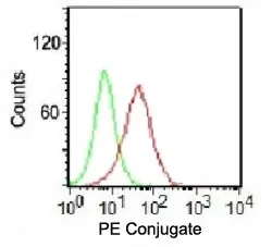 Ku70 + Ku80 Antibody - image 1