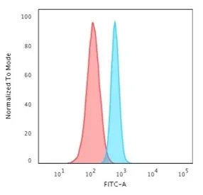 SPTBN2 Recombinant Antibody / Spectrin beta III - image 1