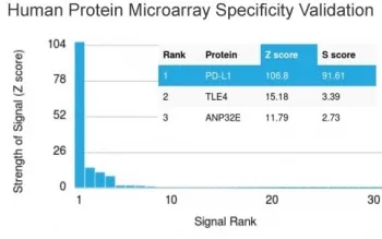 PD-L1 Antibody / B7-H1 / CD274 - image 1