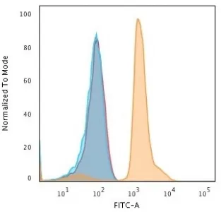PD-L1 Antibody / B7-H1 / CD274 - image 1