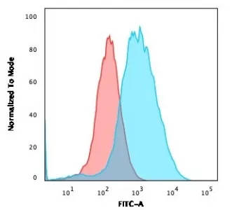 Gamma Catenin Recombinant Antibody / Plakoglobin - image 1
