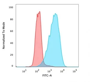 EpCAM Antibody - image 1