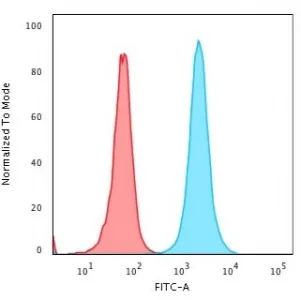 Nucleophosmin Recombinant Antibody / NPM1 - image 1