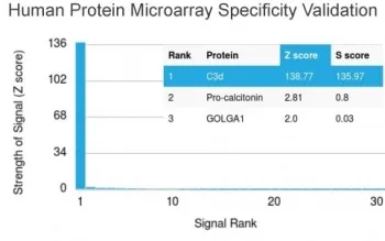 C3d / Complement 3d Antibody - image 1