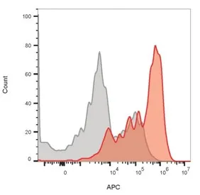 CD3 epsilon Antibody - image 1