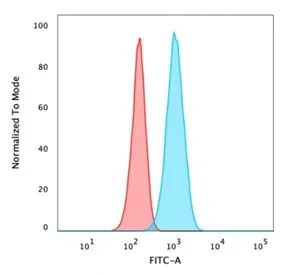 CA9 Antibody / Carbonic Anhydrase IX - image 1