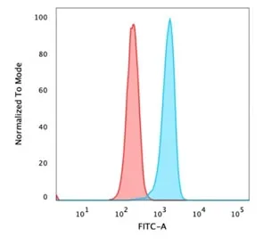 Beta Catenin Recombinant Antibody - image 1