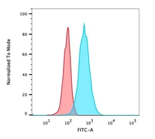 CD105 Antibody / Endoglin - image 1