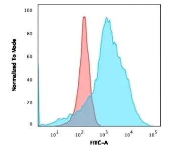 LMO2 Recombinant Antibody / Rhombotin 2 - image 1
