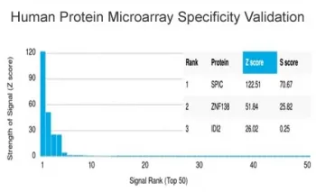 Transcription factor Spi-C / SPIC - image 1