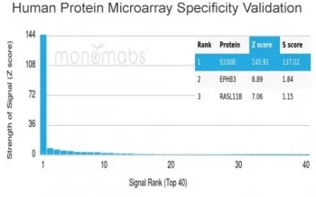 S100B Antibody - image 1