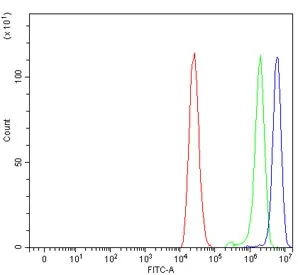 P Glycoprotein Antibody / MDR1 / ABCB1 - image 1