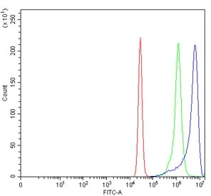 ANK1 Antibody / Erythrocyte Ankyrin / Ankyrin-1 - image 1