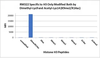 H3K9me2/K14ac Recombinant Antibody / Dimethyl-Histone H3 (Lys9) + Acetyl-Histone H3 (Lys14) - image 1