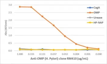 Helicobacter pylori OMP Recombinant Antibody / Outer membrane protein - image 1