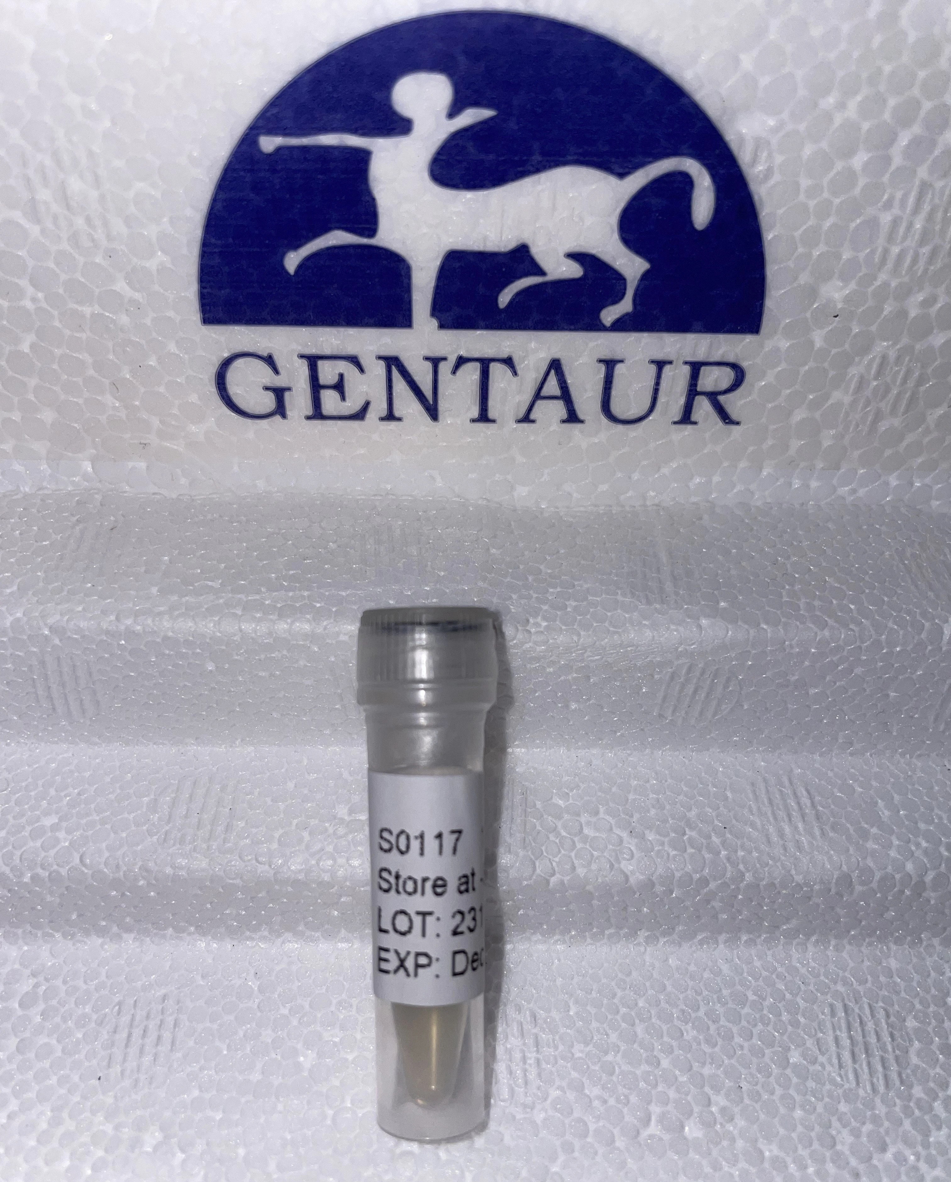 EBY100 Yeast Strains - image 1
