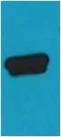 AmCyan-Tag Mouse mAb - image 1