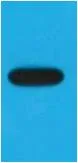 EBFP-Tag Mouse mAb - image 1
