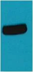 AmCyan-Tag Rabbit pAb - image 1