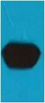 mStrawberry-Tag Mouse pAb - image 1