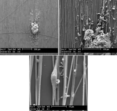 NanoAligned®; 384 Well Plate - image 2