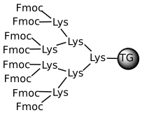 TentaGel® MAP 8 tak