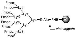 Polystyreen PHB cMAP 8 tak