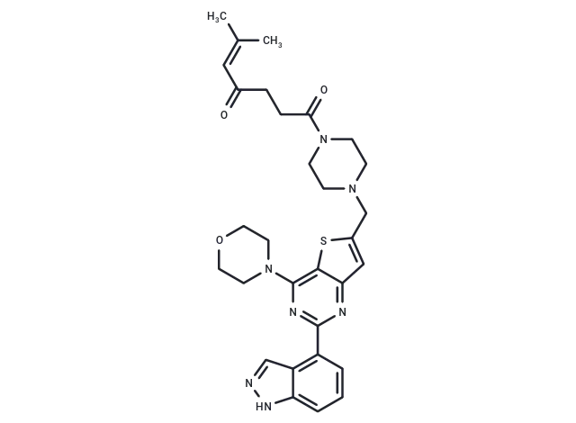 CNX-1351 - image 1