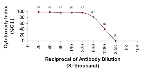 Thy1 Rabbit Polyclonal Antibody - image 1