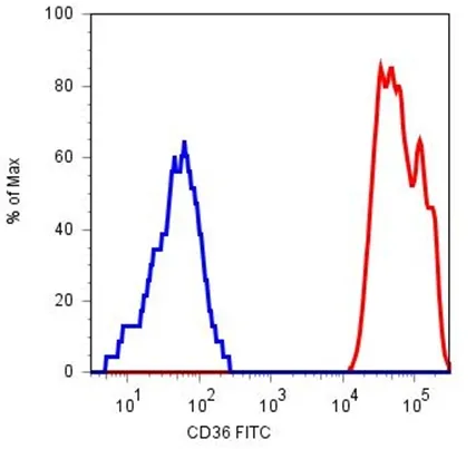 CD36 Mouse Monoclonal Antibody [Clone ID: TR9] - image 1