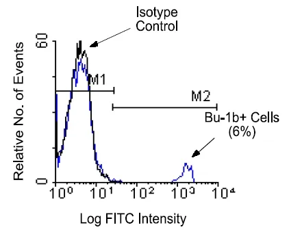 Bu-1b Mouse Monoclonal Antibody [Clone ID: 5-11G2] - image 1