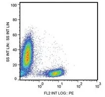 CD28 Mouse Monoclonal Antibody [Clone ID: CD28.2] - image 1