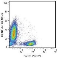 CD28 Mouse Monoclonal Antibody [Clone ID: CD28.2] - image 1