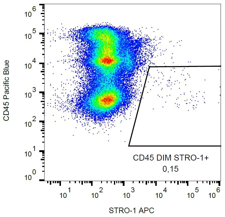 STRO-1 Mouse Monoclonal Antibody [Clone ID: STRO-1] - image 1