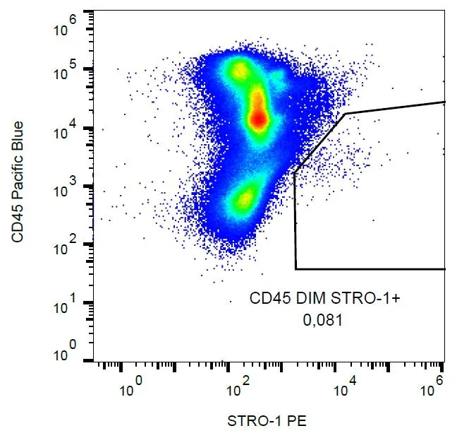 STRO-1 Mouse Monoclonal Antibody [Clone ID: STRO-1] - image 1