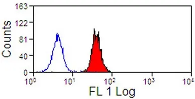 SIGLEC9 Mouse Monoclonal Antibody [Clone ID: K8] - image 1