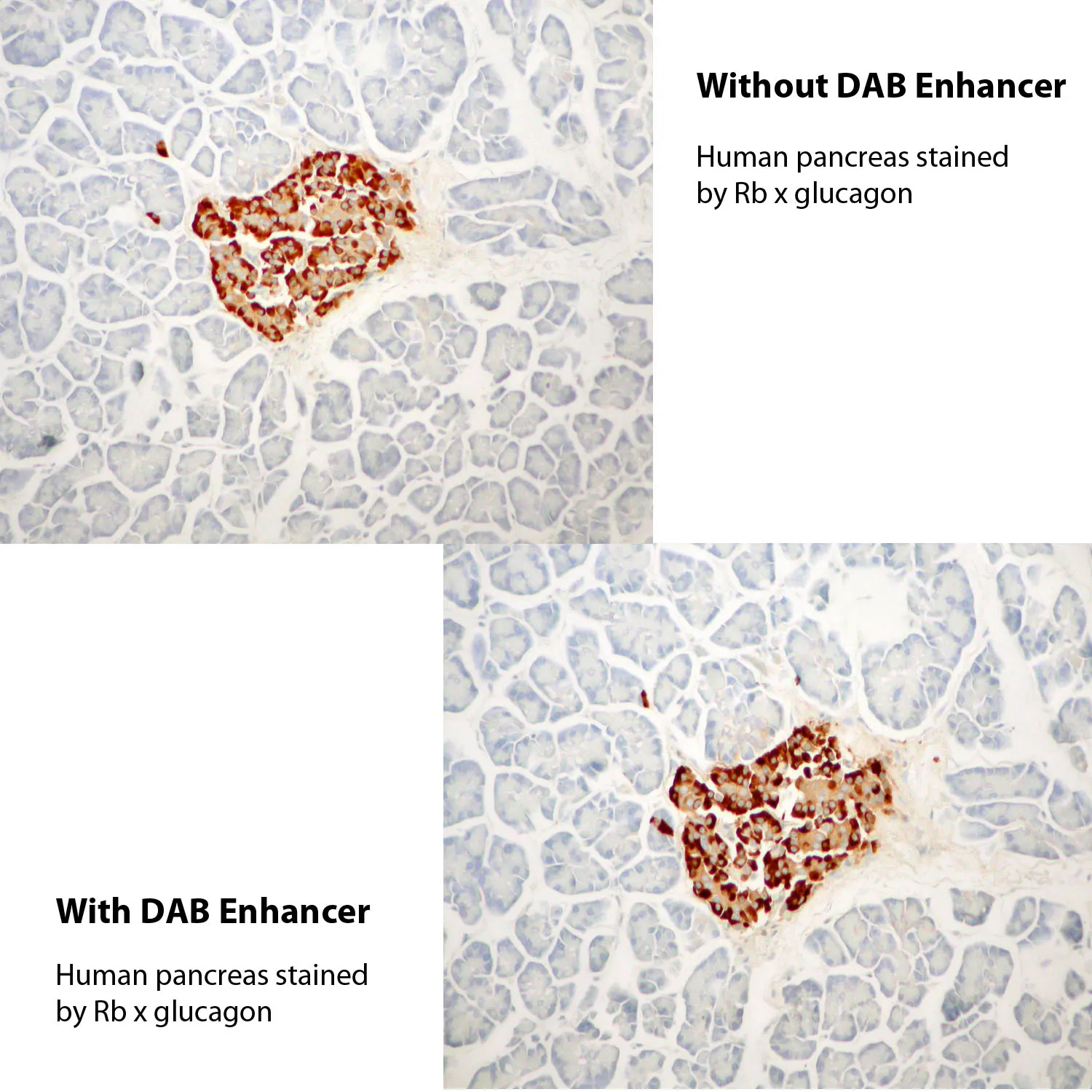 DAB Enhancer - image 1